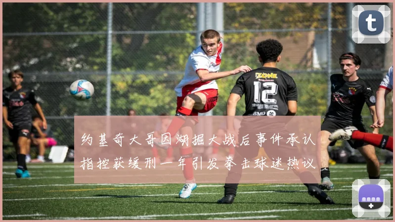 约基奇大哥因湖掘大战后事件承认指控获缓刑一年引发拳击球迷热议