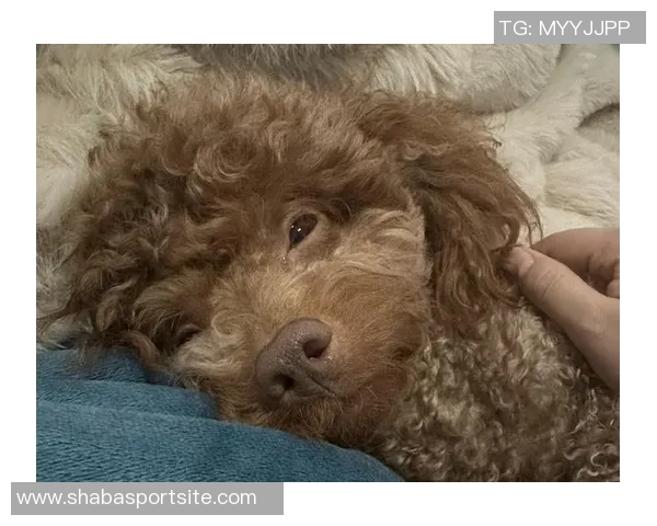 奥特布克目前每日观察状态恢复良好曾经历相似情况